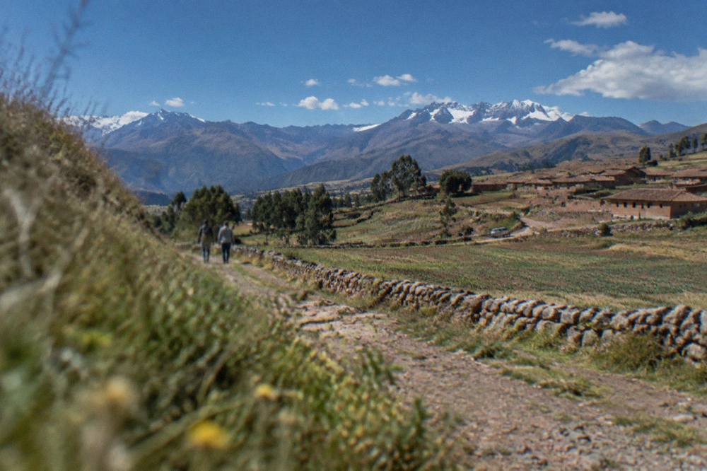 Clear dry-season sky over Andean fields with distant snow peaks