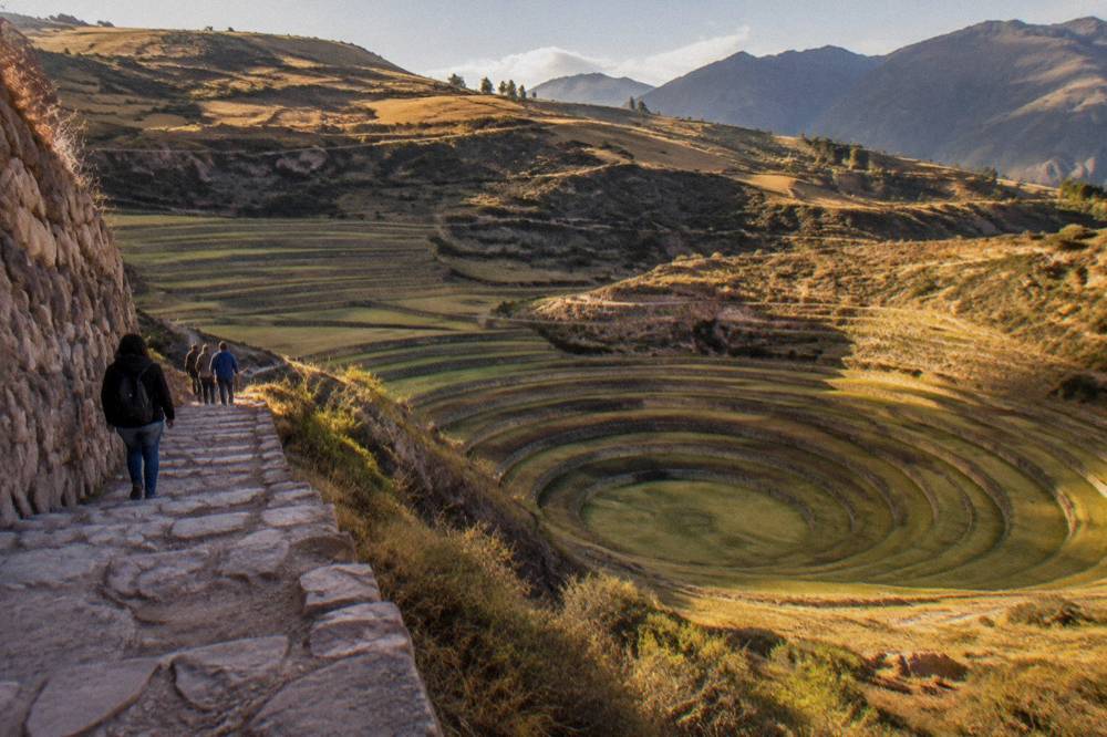 Visitors walking a stone staircase built into a terrace wall at Moray with the ring pattern below