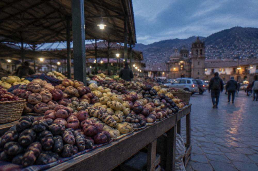 Heaps of Andean potatoes in many colours piled on a wooden market stall