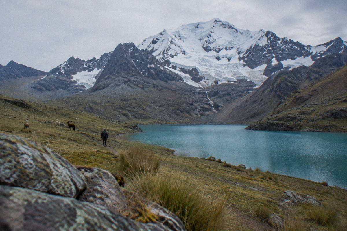 A turquoise lake below the glaciated Ausangate massif on high grassland, a few alpacas far off