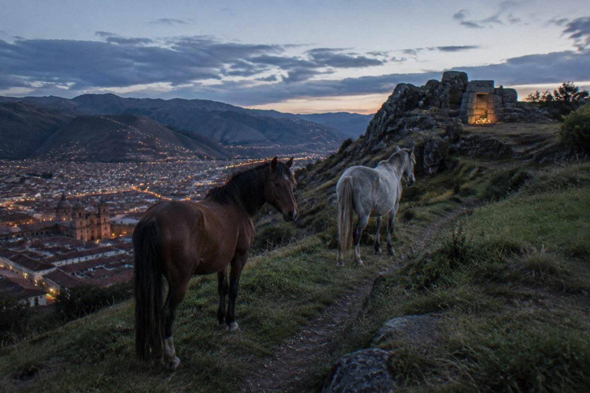 Two horses standing on a grassy hillside track above Cusco, a rock outcrop shrine beyond, no riders, Templo de la Luna