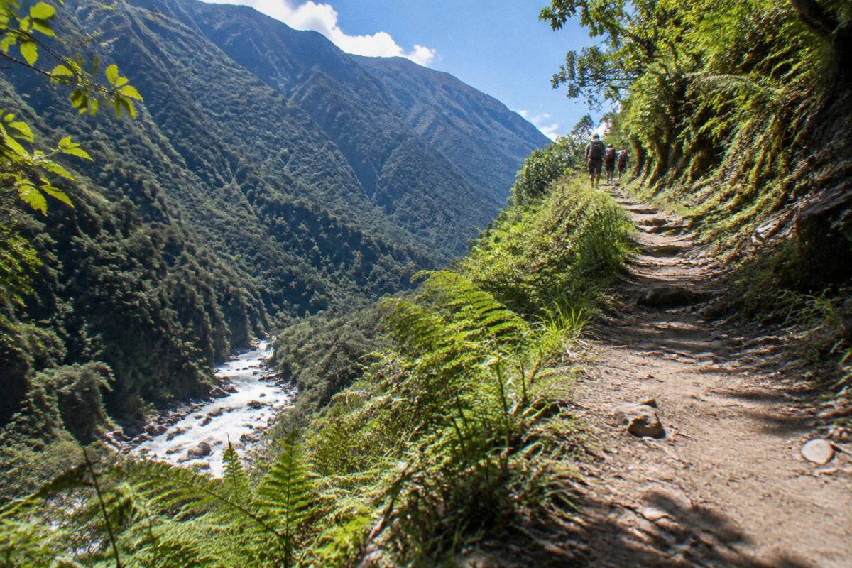 A narrow dirt trail on a steep cloud-forest hillside above a river, a small group of hikers far ahead on the path, ferns and green slopes, Aguas Calientes