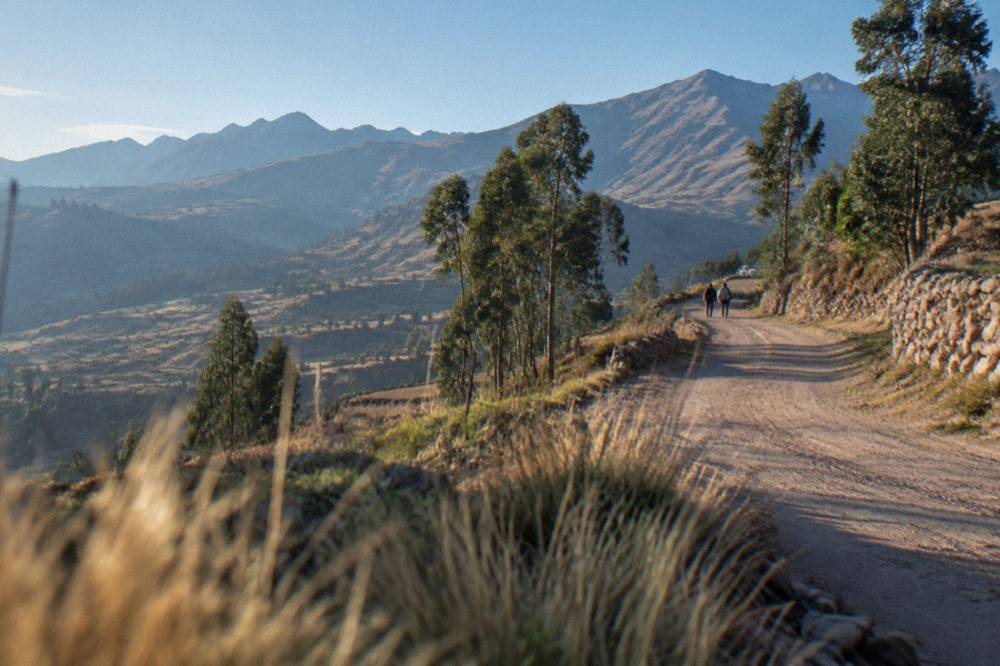 Dry dirt road winding through Andean farmland with eucalyptus trees and distant peaks