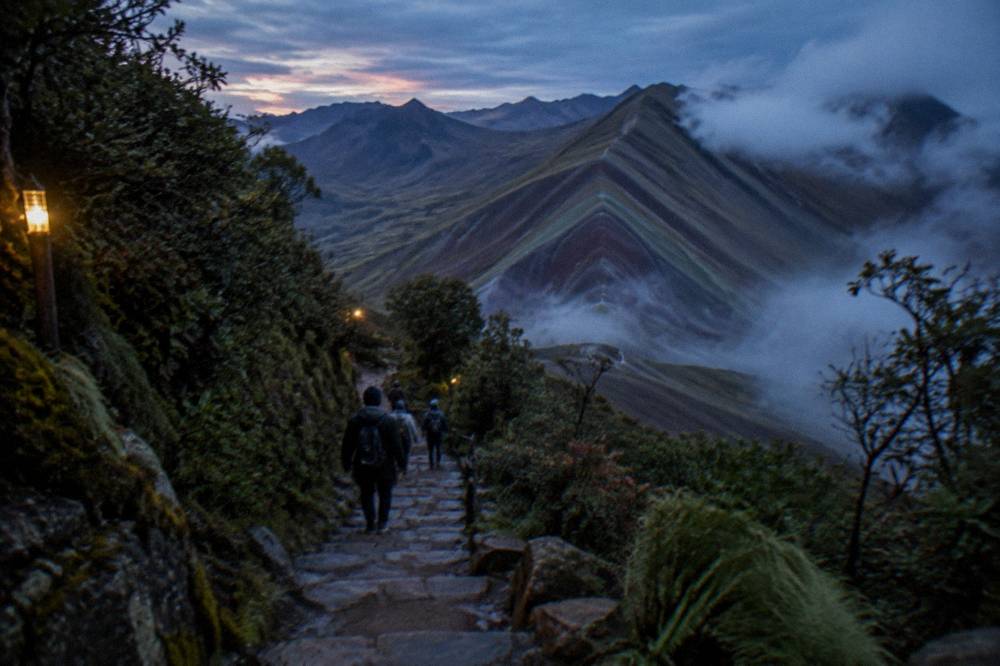 Trekkers descending a steep stone staircase through cloud forest vegetation