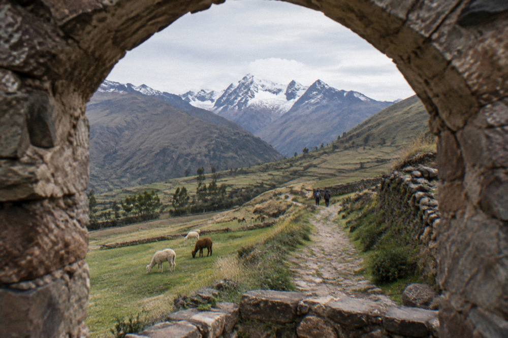 A high Andean valley trail with grazing pastures and distant snow peaks